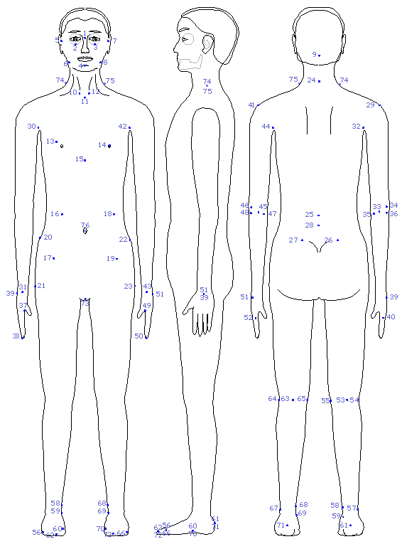 landmark feature points